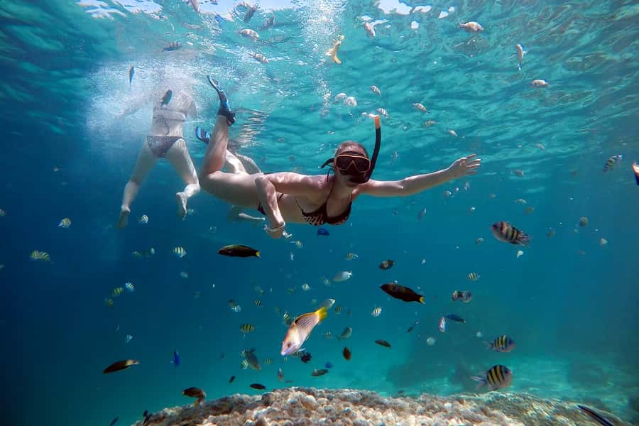 From Phuket: Phi Phi and Maya Bay Snorkeling by Speedboat - Pickup timing from your Phuket hotel and how that shapes the day