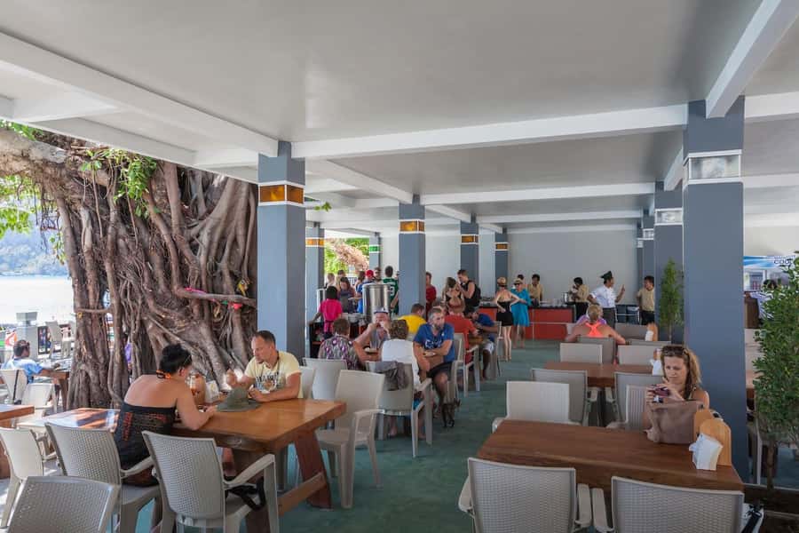 From Phuket: Phi Phi Island Dawn Tour with Lunch - Monkey Bay and Monkey Beach: wild animals, from a respectful distance