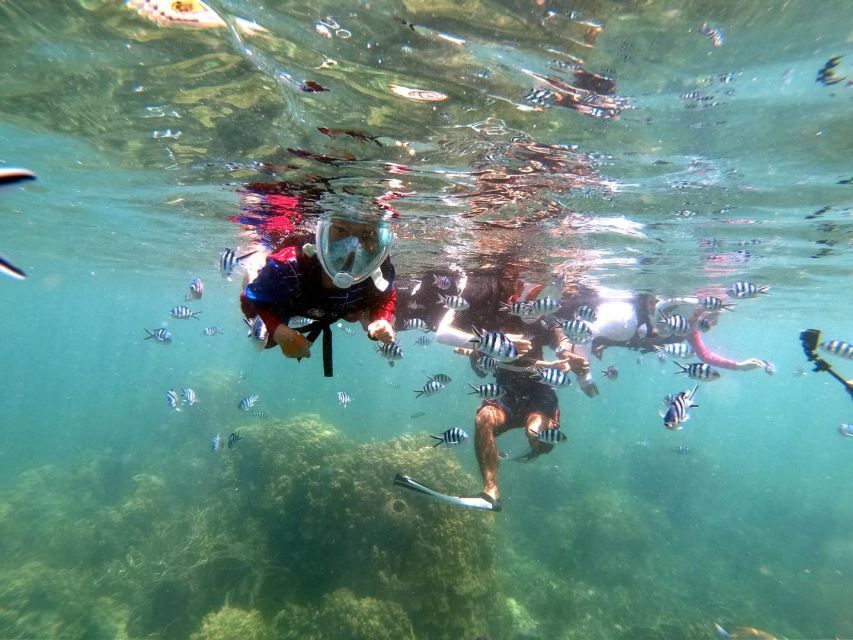 From Phuket: Phi Phi, Maya Bay, & Khai Islands Premium Trip - The return loop: Royal Phuket Marina free time