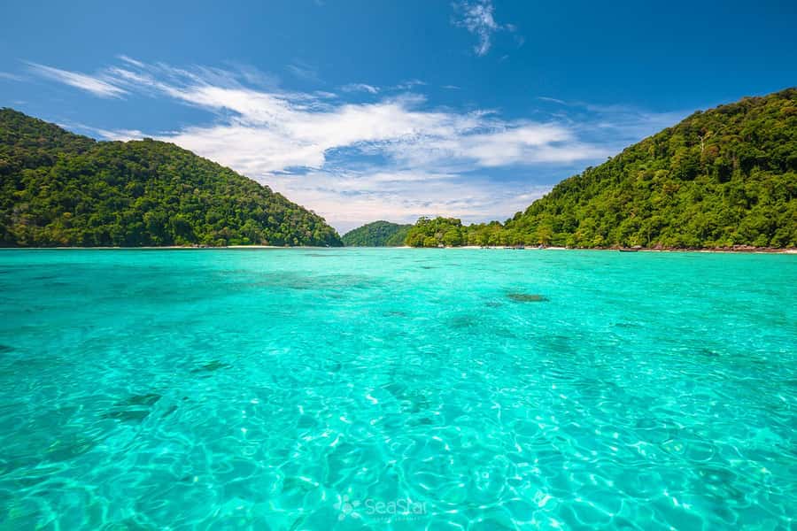 From Phuket: Surin Islands Snorkeling Trip - Pickup and the early-morning schedule that makes the day work