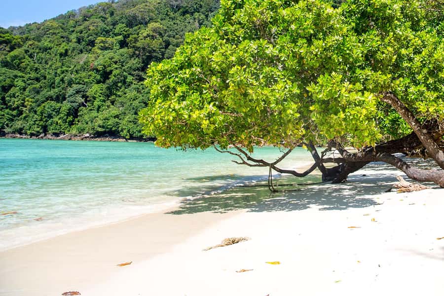 From Phuket: Surin Islands Snorkeling Trip - The speedboat ride: how to get the most out of the crossing