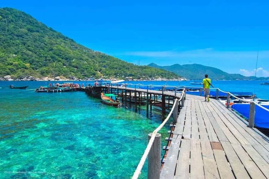 From Samui: Ko Tao and Koh Nang Yuan Speedboat Day Trip - Breakfast, check-in, and what’s actually included before you go