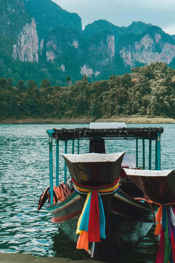 From Surat Thani : Khao Sok Private Boat Tour - Limestone, Rainforest, and a Dam That Changes Everything