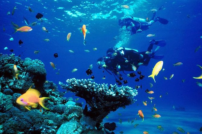 Full-Day Beginner Scuba Course with Private Tuition, Racha Yai - A 7:00 am start that helps you get the most water time