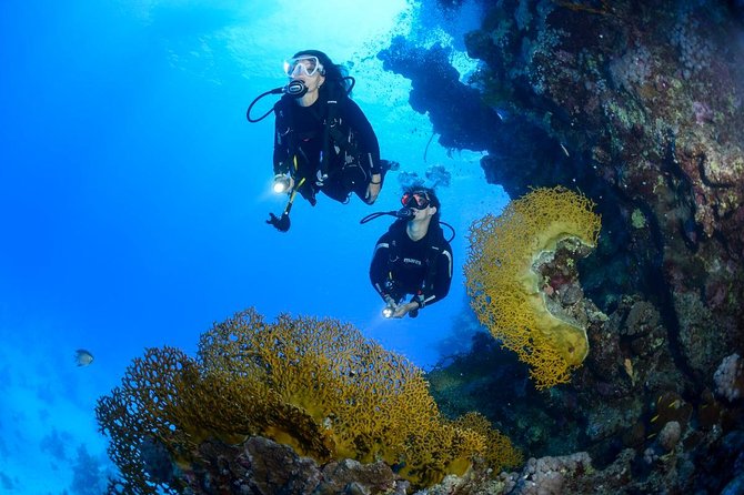 Full-Day Beginner Scuba Course with Private Tuition, Racha Yai - The lessons you get before your first underwater session