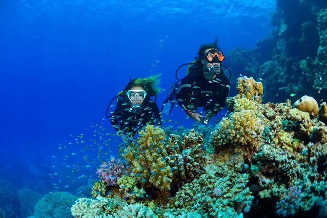 Full-Day Beginner Scuba Course with Private Tuition, Racha Yai - Two open-water sessions around Koh Racha Yai