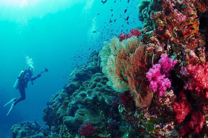 Full-Day Beginner Scuba Course with Private Tuition, Racha Yai - Gear, comfort, and the meals that keep you going