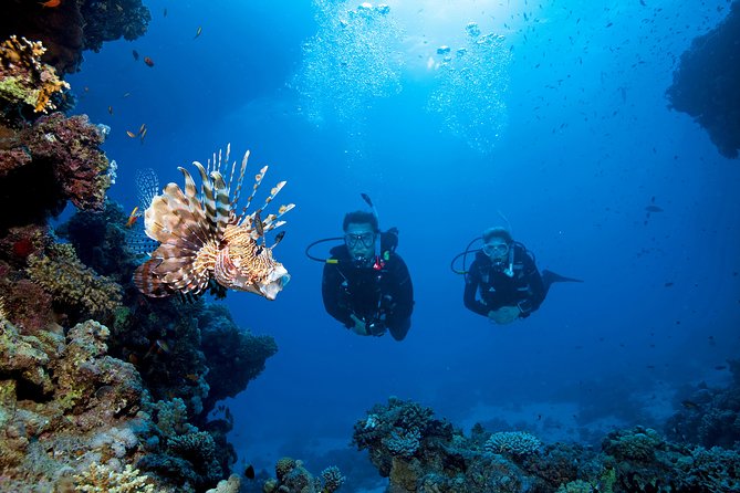 Full-Day Beginner Scuba Course with Private Tuition, Racha Yai - Photos, camera rules, and how to get memories