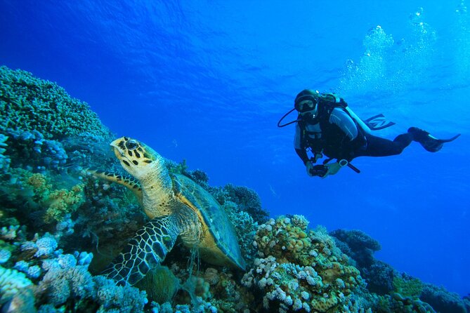Full-Day Beginner Scuba Course with Private Tuition, Racha Yai - Stop at the SSS Freedive and Surf Center: what it adds to your day