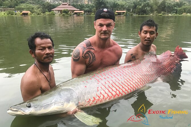 Full-Day Freshwater Lake Resort Fishing in Phang Nga - The Arapaima moment: weigh, celebrate, and reset