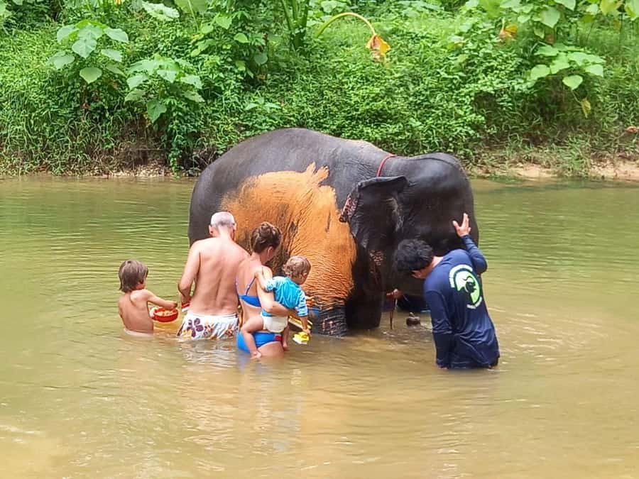 Full-Day Khaolak Highlights & Spa - Spa Time in Khao Lak: Traditional Thai Massage and the Oil Question