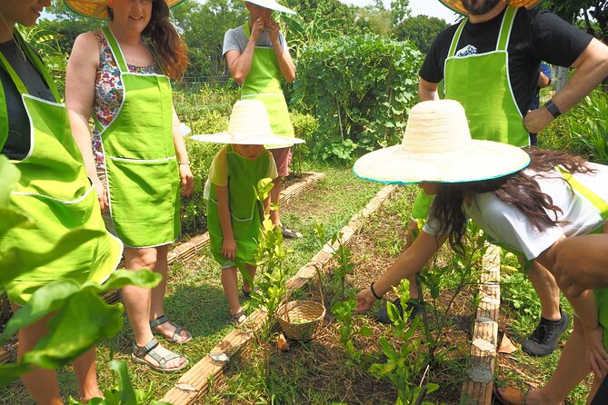 Full Day Thai Cooking at Farm (Chiang Mai) - Organic garden time: Thai herbs and vegetables the practical way