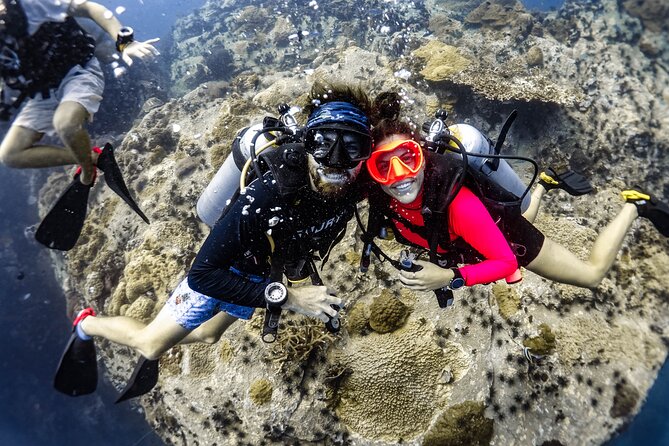 Fun Diving Packages (Certified Divers) - Key things I’d circle before you book