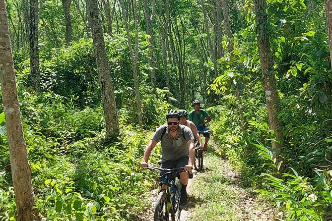 Half-Day Countryside Cycling Small-group Tour in Phuket - Price and value: why this costs about $75