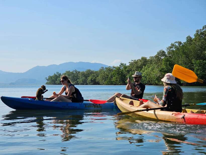 Half Day Mangrove Forest (Morning or Afternoon) - Mangrove Kayaks and Monkey’s Point: How This Tour Feels