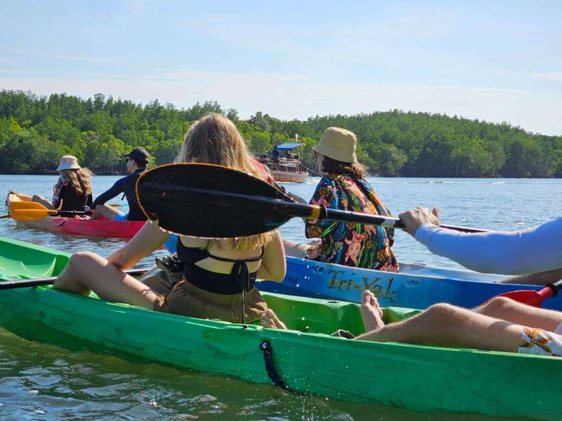 Half Day Mangrove Forest (Morning or Afternoon) - Kayak vs Longtail Boat: Picking the Right Pace