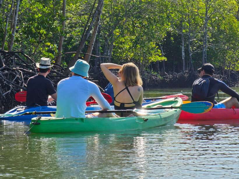Half Day Mangrove Forest (Morning or Afternoon) - Timing, Transfers, and the Real-Life “Waiting Factor”