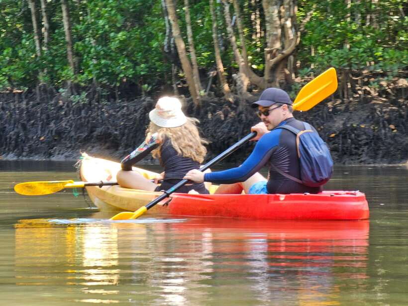 Half Day Mangrove Forest (Morning or Afternoon) - Small Group and an English Guide: Comfort on the Water