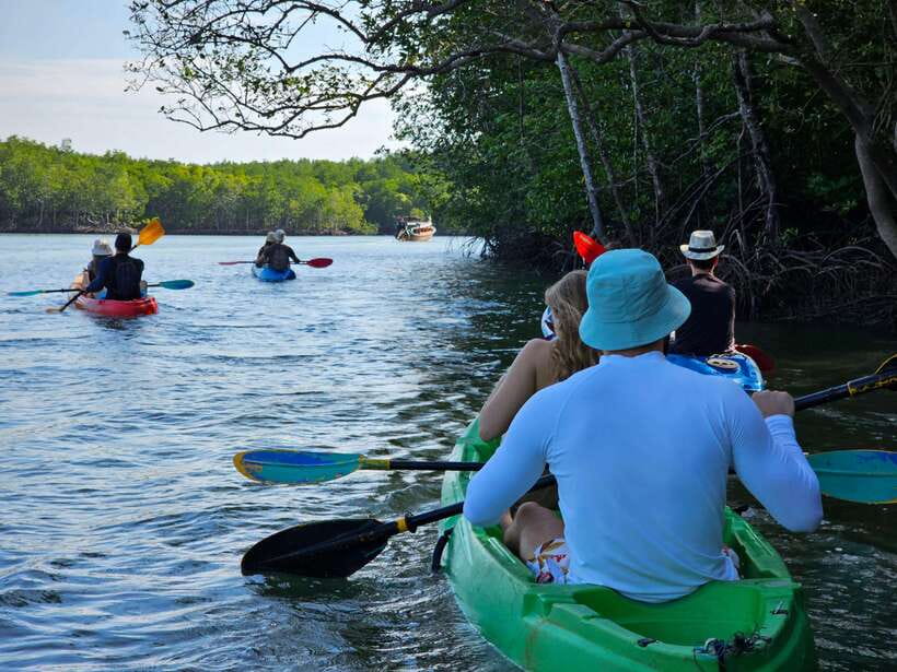 Half Day Mangrove Forest (Morning or Afternoon) - The 3-Hour Plan, Stop by Stop (Pickup to Return)