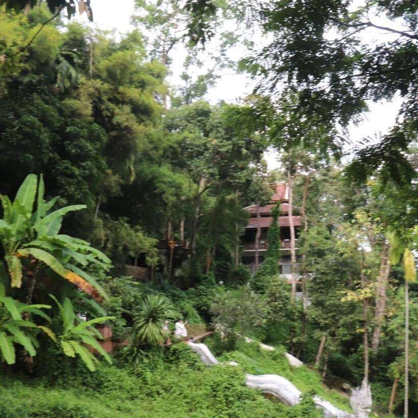 Half Day Morning Wat Pha Lat & Wat Phra That Doi Suthep Tour - Dress code and what to bring so you do not lose time