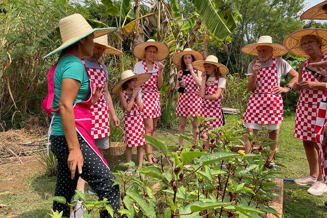 Half-Day Thai Cooking Class at Organic Farm in Chiang Mai - Key takeaways before you go