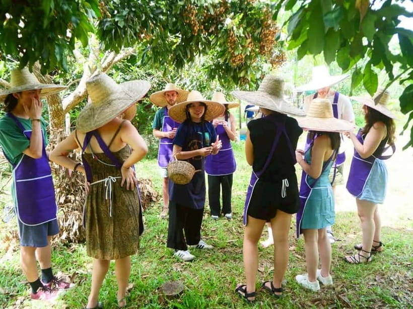 Half-Day Thai Cooking Class on a Local Farm Near Chiang Mai - From Chiang Mai pickup to a farm day that actually makes sense