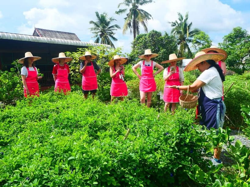 Half-Day Thai Cooking Class on a Local Farm Near Chiang Mai - Price and value: what $28 really gets you