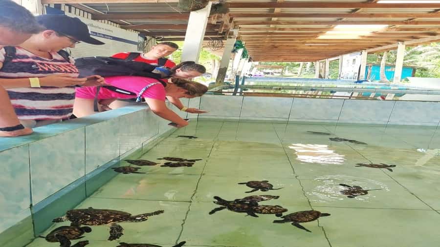 Hua Hin: Koh Talu Snorkeling with Lunch for 2 or More People - Price and Value: Is $225 Per Person a Fair Deal?
