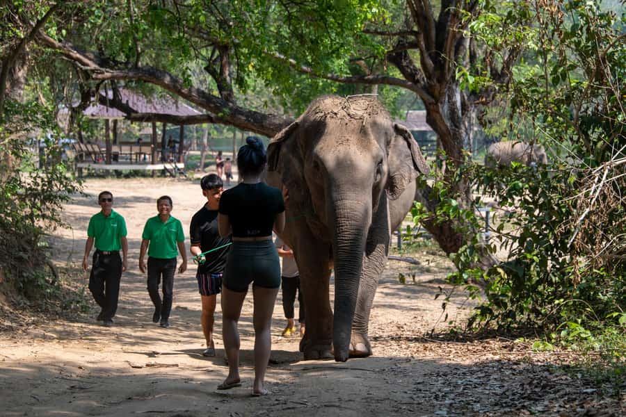 Kanchanaburi: Elephant Sanctuary & Erawan Waterfall Tour - Small group touring, English guidance, and the pickup reality