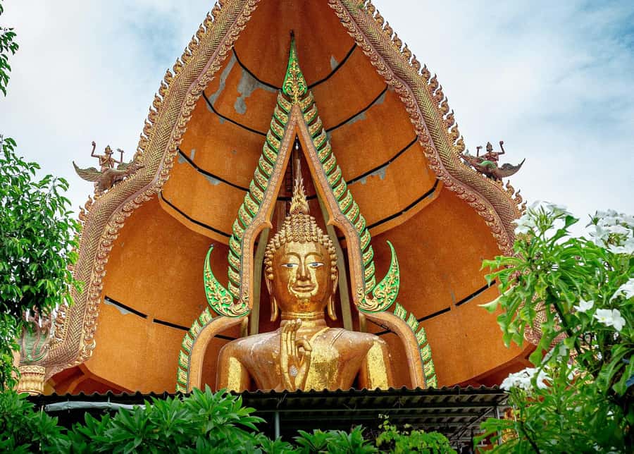 Kanchanaburi: River Kwai and Death Railway Day Tour - Who this tour fits best, and who should rethink it