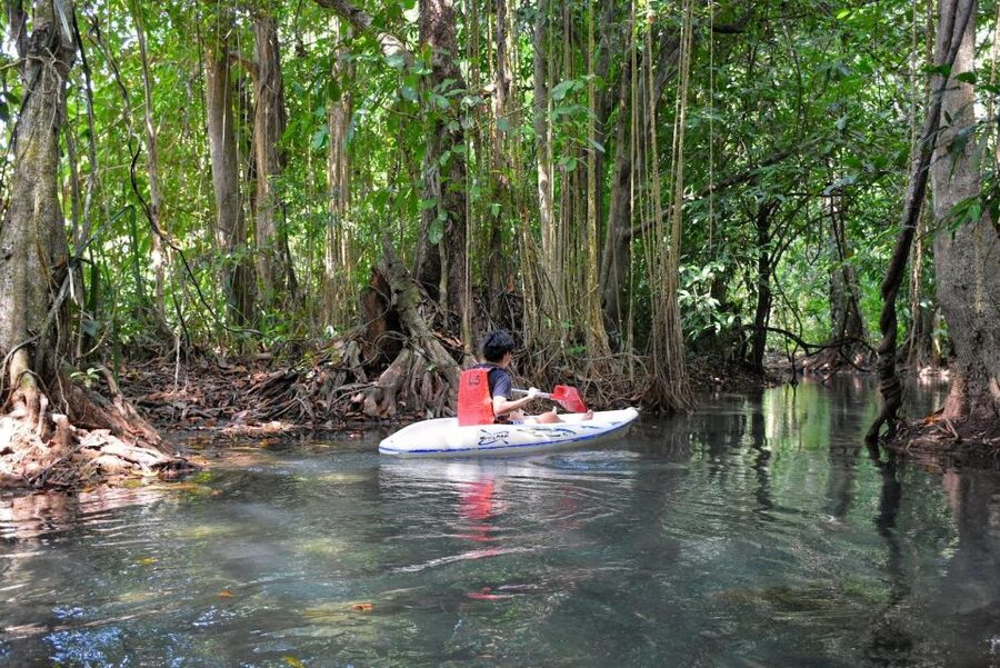 Kayaking and swiming klongrood - Kayak Through Khlong Nam Sai, Not Just Another Tour Stop