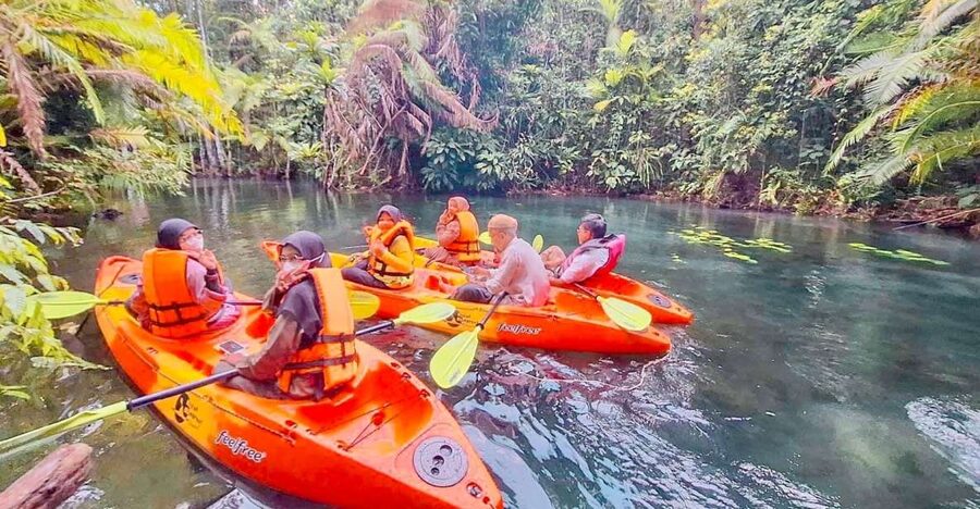 Kayaking and swiming klongrood - The Paddle: What It Feels Like In The Mangrove And Rainforest Section