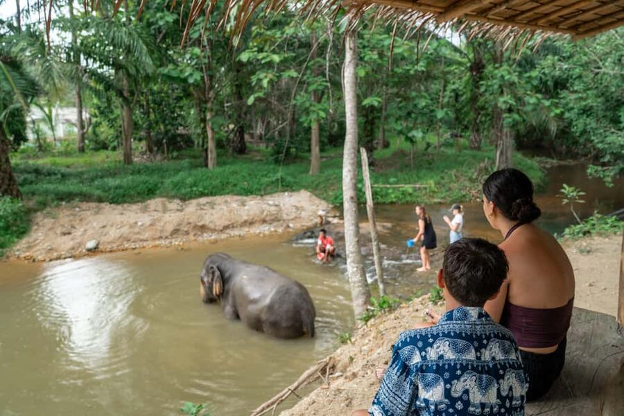 Khao Lak: 1-Hour Elephant Sanctuary Eco-Journey with Shuttle - What makes this sanctuary eco-tour feel worth it in Khao Lak