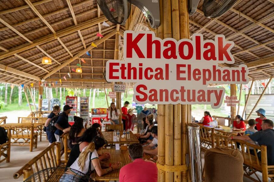 Khao Lak: 1-Hour Elephant Sanctuary Eco-Journey with Shuttle - What to bring and what to expect on the day