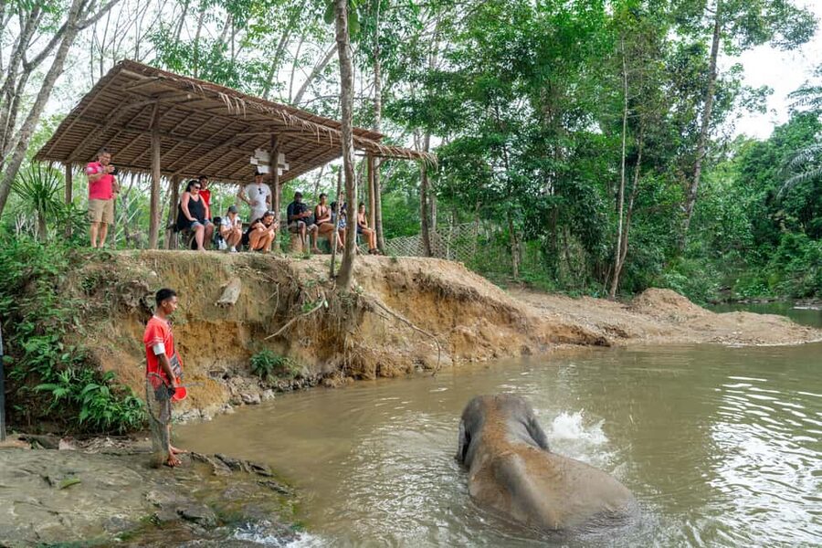 Khao Lak: 1-Hour Elephant Sanctuary Eco-Journey with Shuttle - Khao Lak Ethical Elephant Sanctuary, and why this type of visit matters