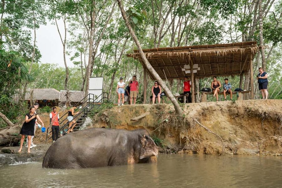 Khao Lak: 1-Hour Elephant Sanctuary Eco-Journey with Shuttle - Pickup, timing, and where you’ll start in Khao Lak