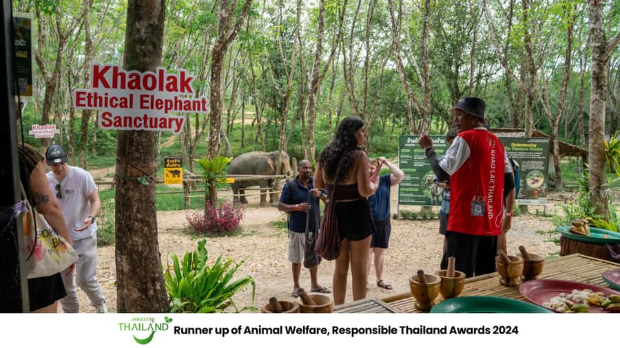 Khao Lak: 2-Hour Elephant Sanctuary Eco-Walk with Guided - Entering Khao Lak Elephant Sanctuary with the right expectations