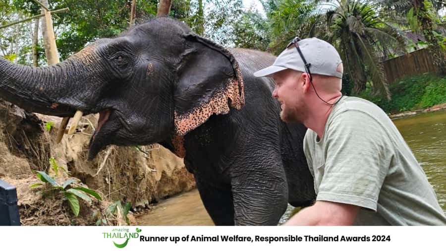 Khao Lak: 2-Hour Elephant Sanctuary Eco-Walk with Guided - Getting there from Khao Lak: pickup, timing, and what it feels like