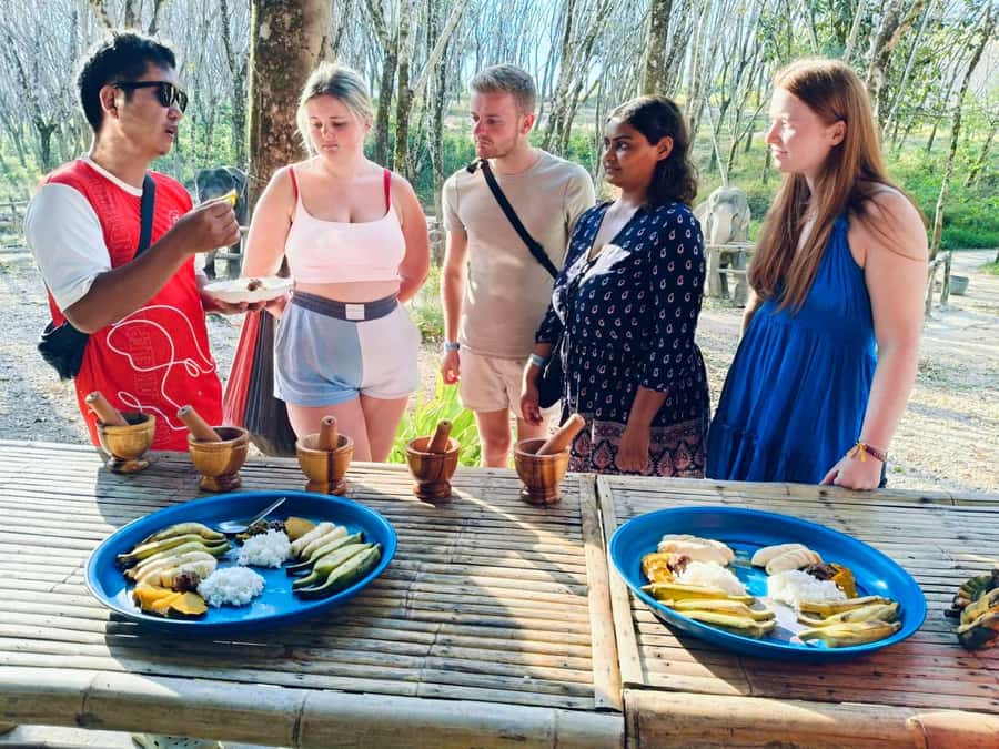 Khao Lak: 2-Hour Elephant Sanctuary Eco-Walk with Guided - The refreshing water session: what to expect and how to participate