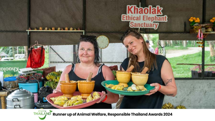 Khao Lak: 2-Hour Elephant Sanctuary Eco-Walk with Guided - Meet the rescued elephants: feeding, observation, and real behavior