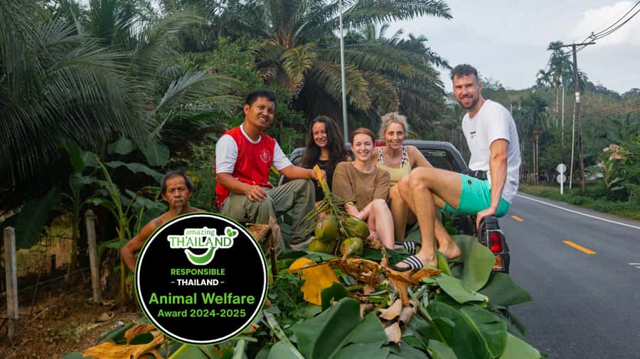 Khao Lak: All-Day Elephant Sanctuary Experience Small Groups - Key moments that make this day work
