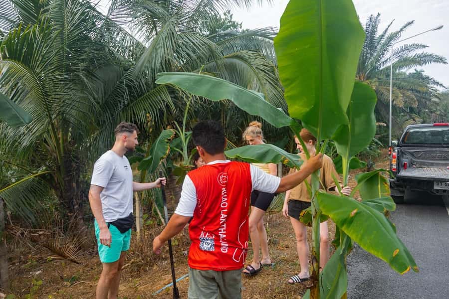 Khao Lak: All-Day Elephant Sanctuary Experience Small Groups - Who should book this Khao Lak elephant sanctuary experience