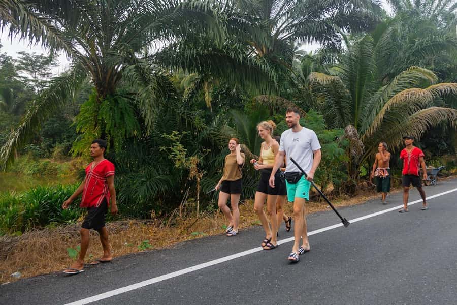 Khao Lak: All-Day Elephant Sanctuary Experience Small Groups - Sanctuary activities that go beyond the elephants