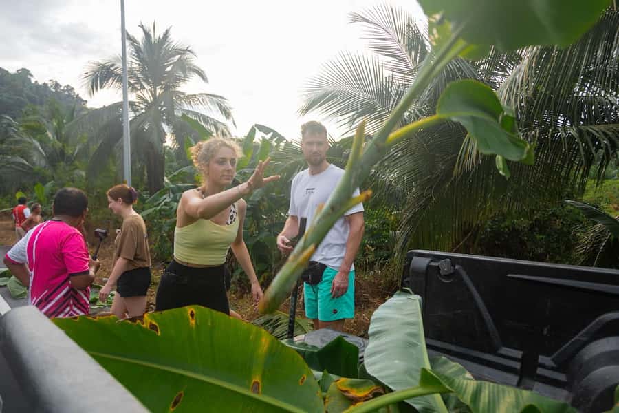 Khao Lak: All-Day Elephant Sanctuary Experience Small Groups - Thai lunch and cooking demonstration: the food part is real value