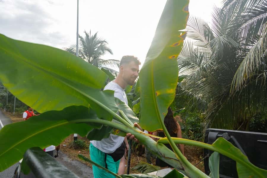 Khao Lak: All-Day Elephant Sanctuary Experience Small Groups - Price and value: why $173 can make sense here