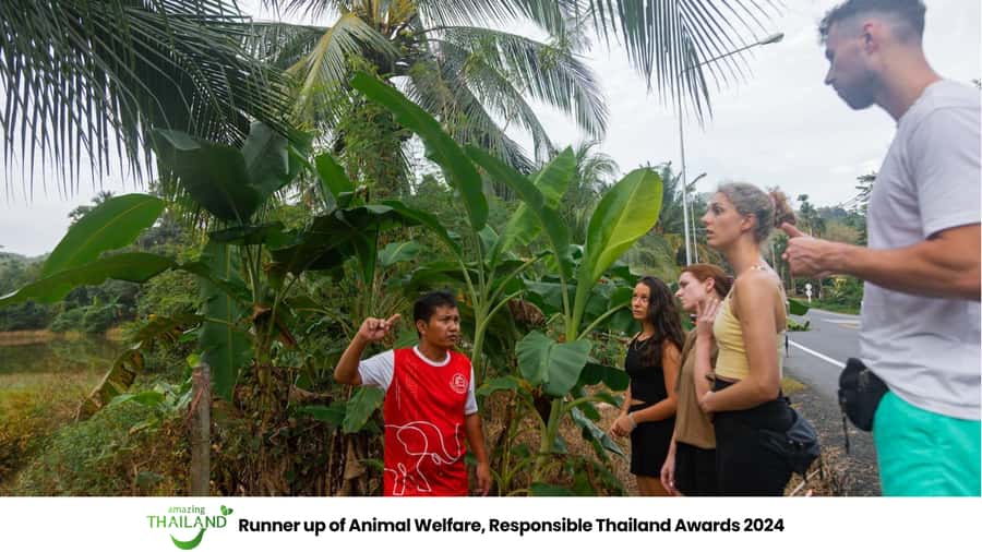 Khao Lak: All-Day Elephant Sanctuary Experience Small Groups - Pickup, the morning drive, and arriving ready for the jungle