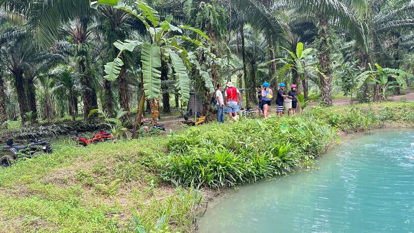 Khao Lak: ATV Quad Bike Tour - What it feels like on the ground: jungle trails, palm gardens, and rugged paths