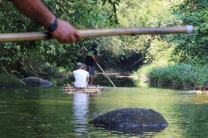 Khao Lak: Bamboo Rafting & Sea Turtle Conservation Center - Khao Lak in Three Parts: Bamboo, Turtles, and a Waterfall in One Half Day