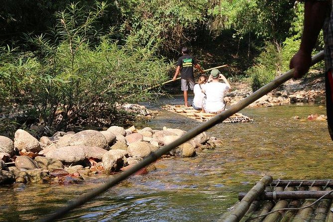 Khao Lak: Bamboo Rafting & Sea Turtle Conservation Center - Royal Thai Navy Sea Turtle Conservation Center: Worth Your Time, With One Caveat