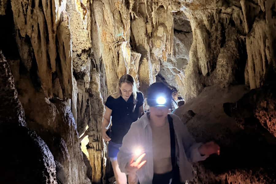 Khao Lak: Cheow Lan Lake, Diamond Cave, Hiking, All Included - The short rainforest hike: 1 km that can feel long if the group is large